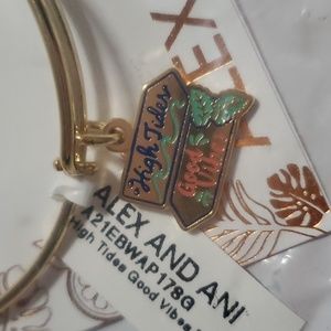 Alex and Ani High Tides Good Vibes bracelet